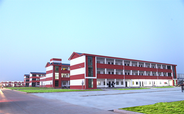 我公司荣获科技型中小企业认定